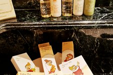 迪士尼乐园酒店大厅Grand Salon (Grand Salon в отеле Disneyland)