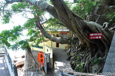 赤柱北帝古庙 (Древний храм Бэйди в Стэнли)